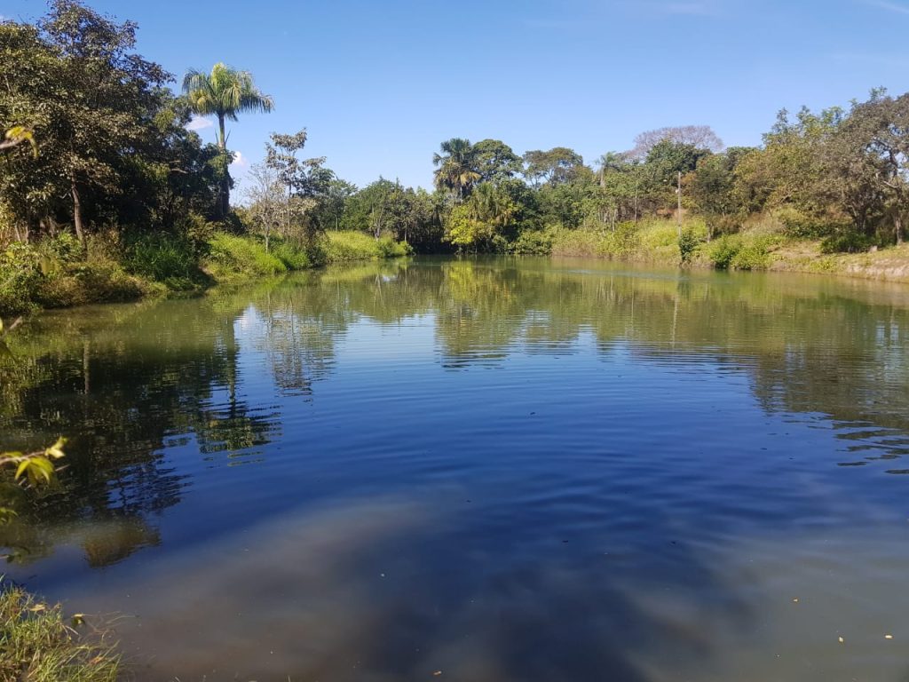 🌴VENDO ESTA LINDA CHACARA EM TRINDADE-GO 🌴 🌴VENDO ESTA LINDA CHACARA EM TRINDADE-GO 🌴