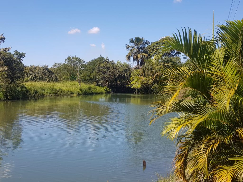 🌴VENDO ESTA LINDA CHACARA EM TRINDADE-GO 🌴 🌴VENDO ESTA LINDA CHACARA EM TRINDADE-GO 🌴