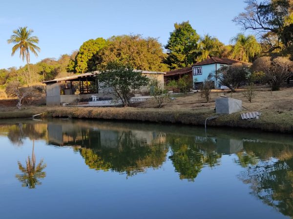 3 (Três) Alqueires 18 litros em Trindade –GO🌴