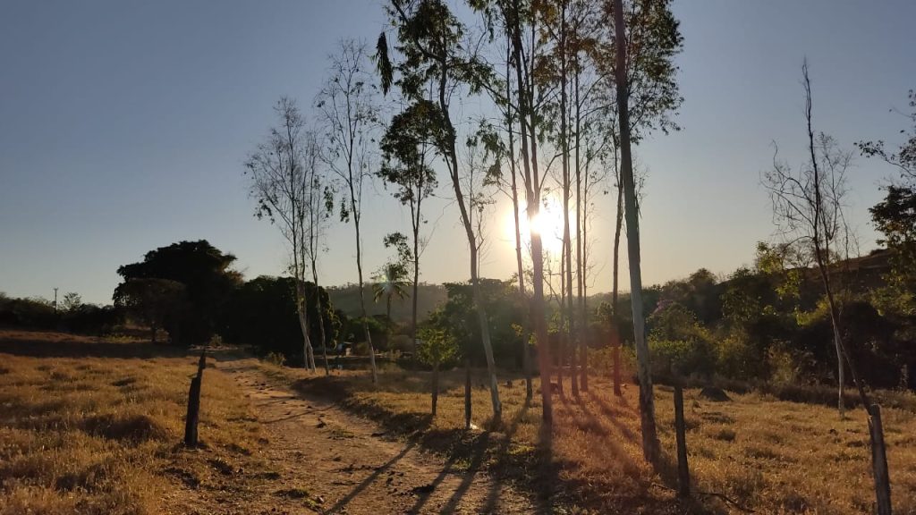 3 (Três) Alqueires 18 litros em Trindade –GO🌴 3 (Três) Alqueires 18 litros em Trindade –GO🌴